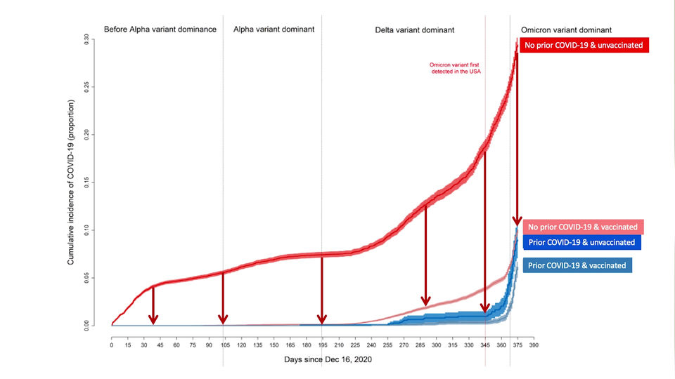 Is vaccine mendatory amonst COVID-19 infection?